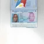 LAMBERTO AGUATIS Profile Picture
