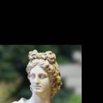 Pol Muji Profile Picture