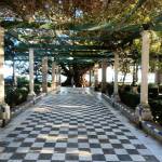 Joefrey Salvacion Profile Picture