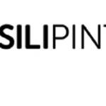 Silipint Partners LLC Profile Picture