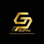 GoPro Limousine Profile Picture