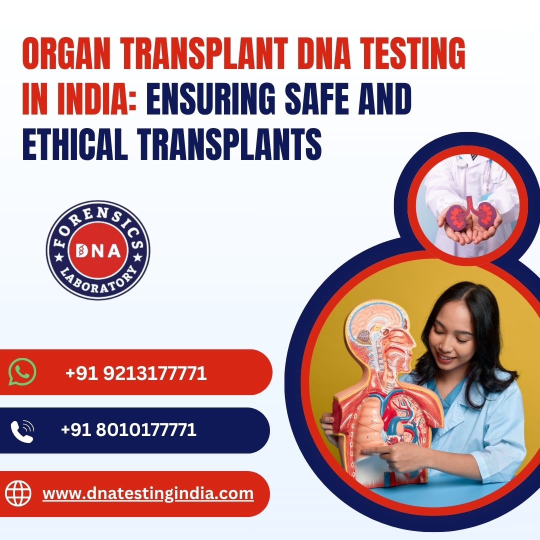 Ensuring Safe and Legal Kidney Transplant with DNA Tests – DNA Forensics Laboratory