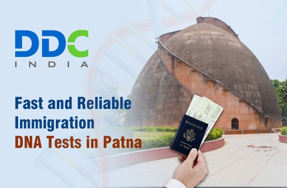 Getting a DNA Test in Patna for Immigration? Here’s What You Should Know! - NewsPaperCast