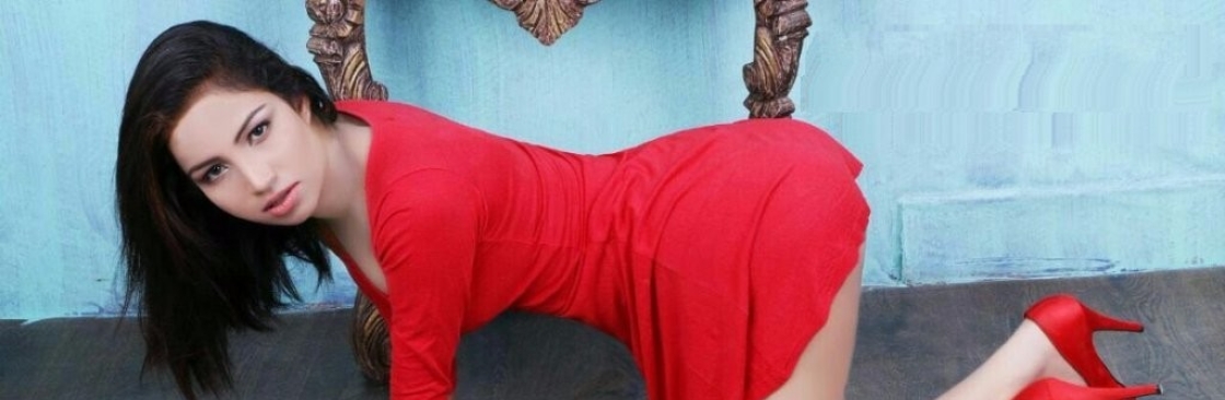 Delhi Night Cover Image