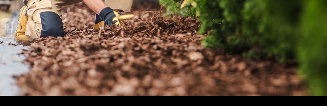 Total Lawncare And Scapes LLC Cover Image