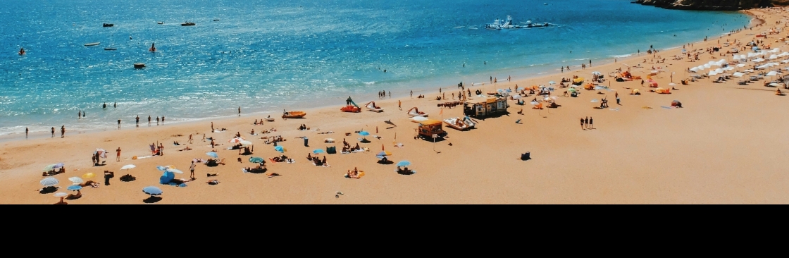 Perfect Holidays Cover Image