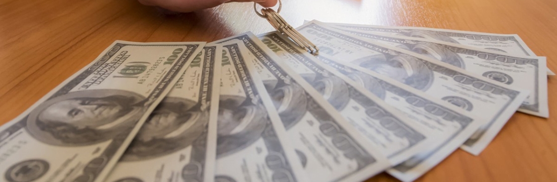 Orange Bear Properties Cover Image