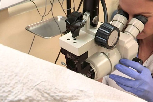 In Office Procedures - Seven Oaks