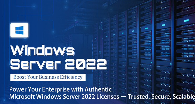 Microsoft Windows Server 2022 License Cost & Pricing in India | Get the Best Deals
