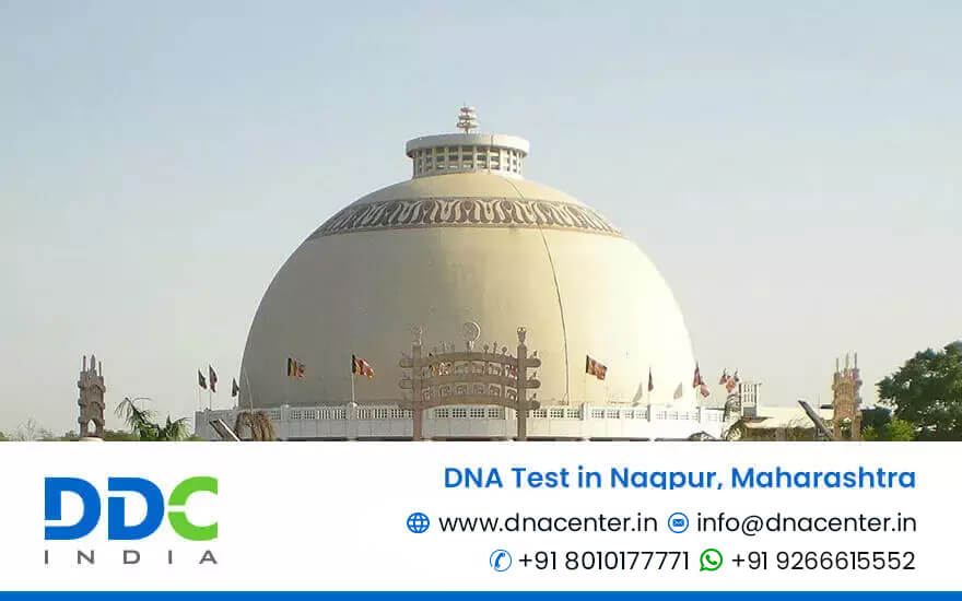 DNA Test in Nagpur, Maharashtra | DNA Test Cost in Nagpur