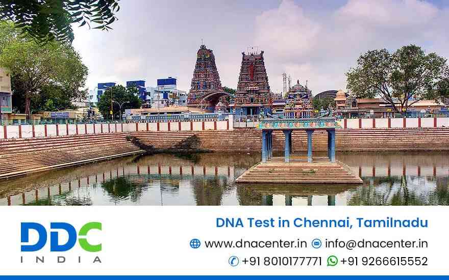 DNA Test Price in Chennai | DNA Labs in Chennai, Tamilnadu