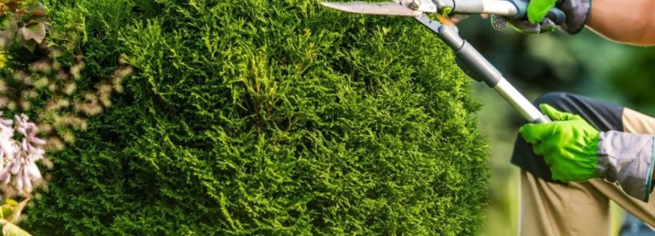 Quality Tree Service Concord Cover Image