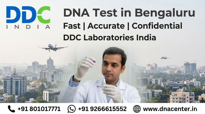 Reliable DNA Tests to Confirm Family Links for Personal and Official Needs | daddycow.com
