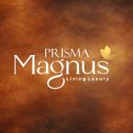Prisma Magnus Profile Picture