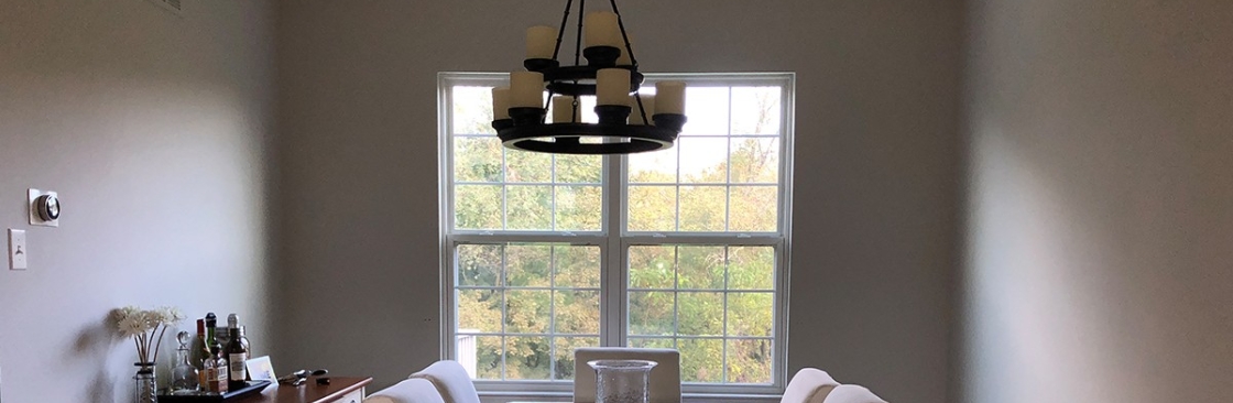 Hawk Painters Cover Image