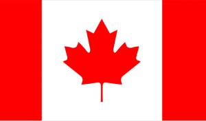 Turn Visitors into Customers with a Professional Website Designing Company in Chandigarh