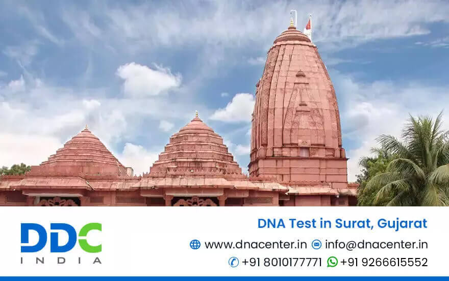 DNA Test in Surat | DNA Test Cost in Surat