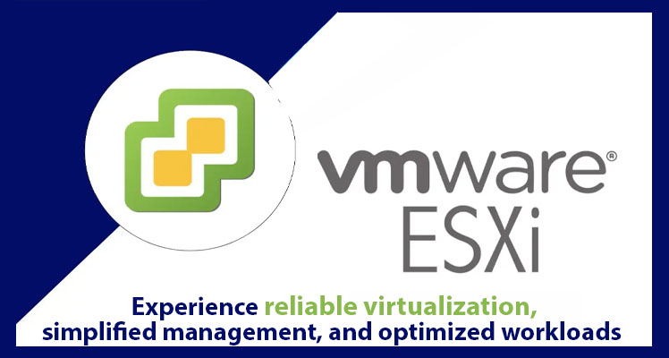 VMware ESXi License | Radiant Authorized Partner India