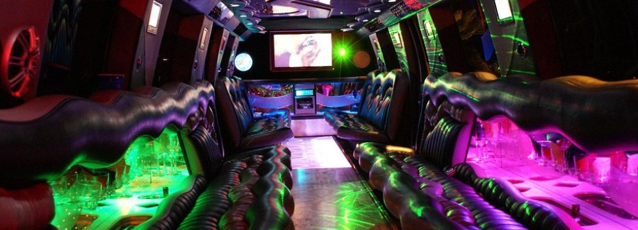 VIP Private Limousine Cover Image