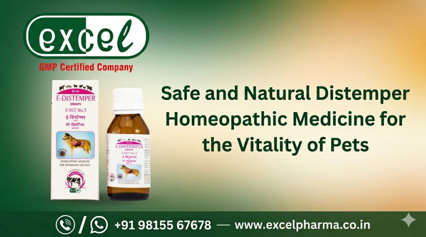 Safe and Natural Distemper Homeopathic Medicine for the Vitality of Pets | daddycow.com