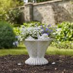 plant pots Profile Picture