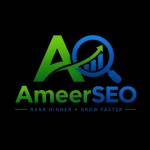 Ameer SEO Profile Picture