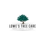 Lowes Tree Care Service LLC Profile Picture