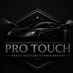 Pro Touch Washing Profile Picture