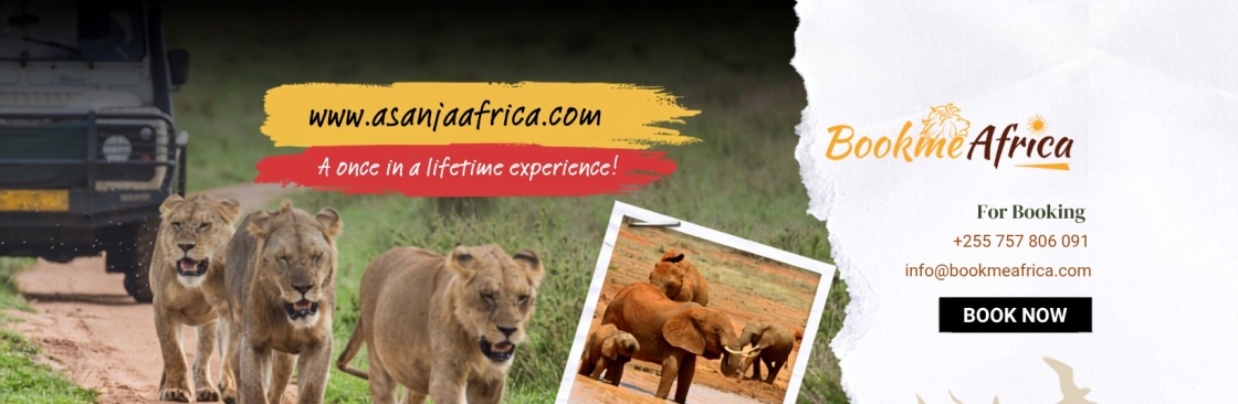 Book Me Africa Cover Image