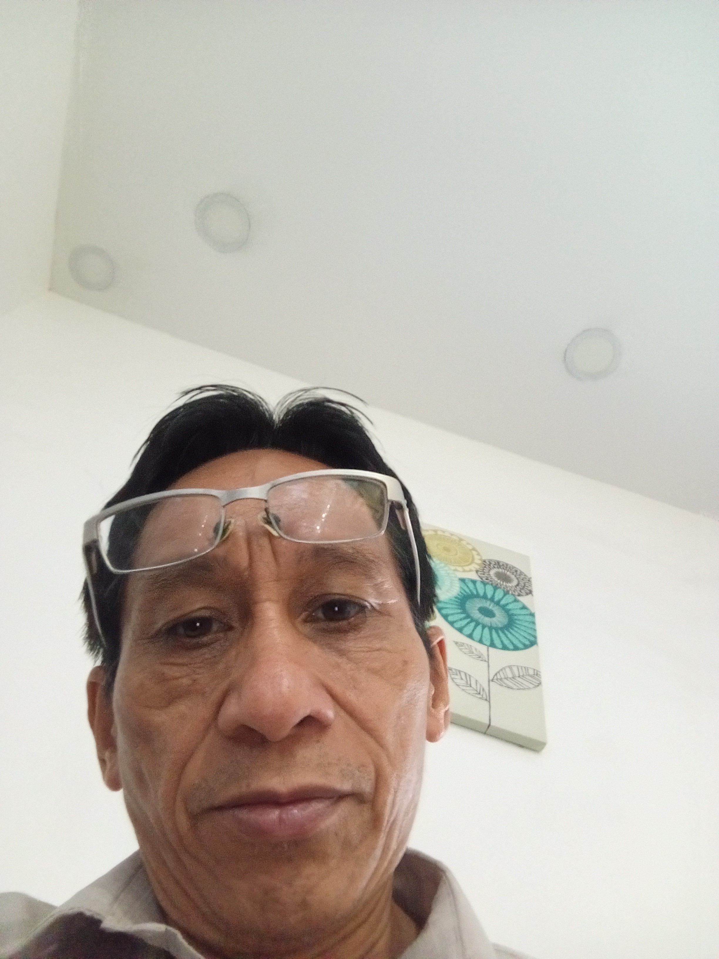 Amadeo Genetia Profile Picture